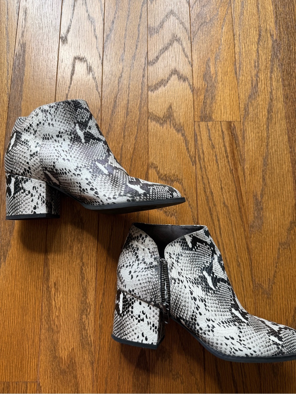 Seychelles snake print bootie size 7